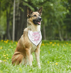 Happy Birthday Mom Dog Bandana - Image 5