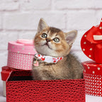 2 Pack Valentine's Day Cat Collar - Image 3