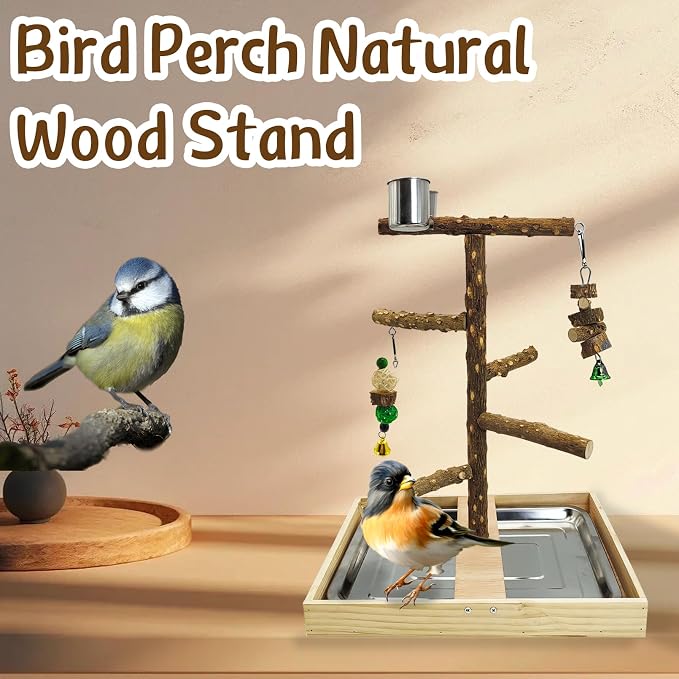 Tfwadmx Bird Perch Natural Wood Stand Toy Parrot Play Stand Platform Bird Cage - Image 6