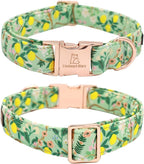 Lionheart Glory Cute Lemon Floral Pattern Adjustable Dog Collar - Image 4