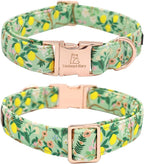 Lionheart Glory Cute Lemon Floral Pattern Adjustable Dog Collar - Image 4