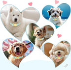 Easter Dog Collar for Small Dogs, Easter & Spring Theme Small Dog Collar - Image 8