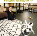 Cat Toys for Indoor Cats, Interactive Cat Toy 2PCS Retractable Wand Toy and - Image 7