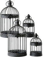 Vela Lanterns Bird Cage Decor Candle Holder Lantern Decorative Table by VelaCandleLanterns