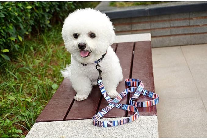 Roses&Poetry Dog Collar with Colourful Stripe Patterns, Adjustable Durable - Image 5