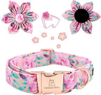 Lionheart Glory Dog Collar, Cute Floral Pattern Pet Collar Adjustable Dog Collar - Image 2