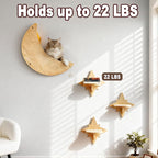 Cat Wall Shelves, Moon and Star Cat Wall Furniture - Image 6