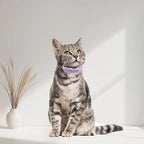 Breakaway Cat Collar with Bell, Safety Buckle Kitten Collar, Elastic Strech - Image 7