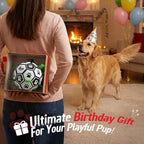 QDAN Dog Toys Dog Balls, World Cup Dog Soccer Ball - Image 4