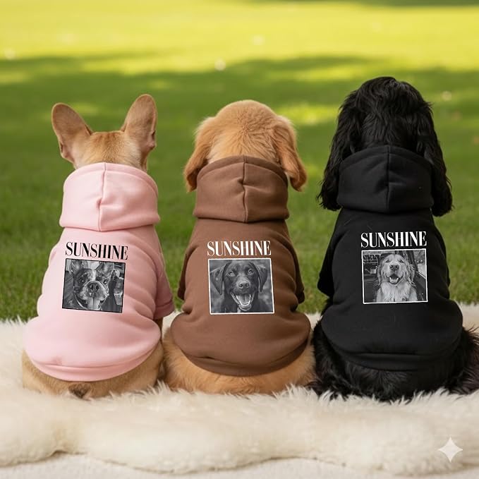 Personalized Name Dog Hoodie, Print Hoodies Pets Name, Custom Pet Memorial - Image 5