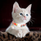 Unique style paws 2 Pack Kitten Collar Breakaway - Image 6