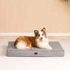 EHEYCIGA Orthopedic Foam Dog Bed, Light Grey - Image 8