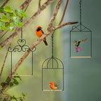 3PK Metal Frame Hummingbird Swings and Perches - Image 4