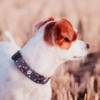 QQPETS Adjustable Soft Dog Collar: Print Flower Pink Multicolor Cute Patterns - Image 2