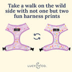 Lucy & Co. Cute Reversible Dog Harness Walking Halter - Image 5