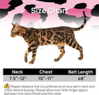 Cat Harness and Leash Set - Image 2