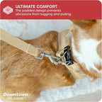 Downtown Pet Supply Step-in Dog Harness – No Pull, Adjustable Padded Mesh - Image 6