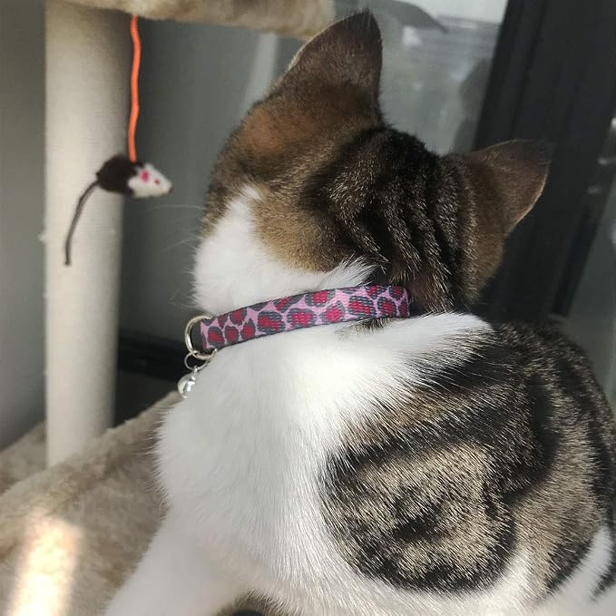 azuza 4 Pack Halloween Kitten Collar Breakaway, Quick Release Safe Buckle - Image 6