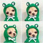 Warm Dog Winter Clothes Cute Fruit Dog Coat Hoodies Fleece Pet Dogs Costume - Image 2