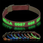 DOG WORLD Custom Fluorescent Dog Collar by DOG+WORLD
