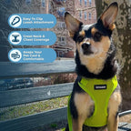 Voyager Step-in Pet Harness - Image 3