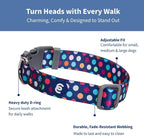 Blueberry Pet Essentials Rainbow Polka Dots Adjustable Dog Collar, Neck 12"-16" - Image 2