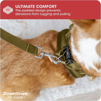 Downtown Pet Supply Step in Dog Harness - Image 6