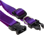 LupinePet Basics 1/2" Purple 8-12" Adjustable Collar - Image 2