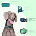 Roses&Poetry Small Dog Collar, Adjustable Personalized Durable Pet Collars - Image 3