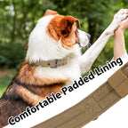 Tactical Dog Collar Military Adjustable Dog Collars Soft Nylon Training Collar - Image 5