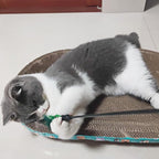 4 PCS Interactive Cat Teaser Wand - Image 6