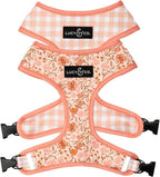 Lucy & Co. Cute Reversible Dog Harness Walking Halter by LucyCo