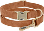 Genuine Leather Dog Collar by HOME