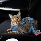 Cat Harness, Cat Harness and Leash - Image 4