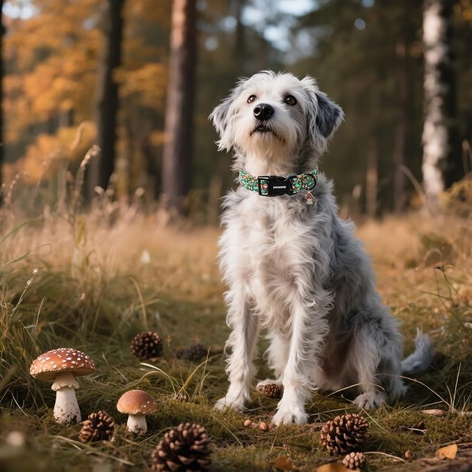 DOGWONG Fall Dog Collar, Autumn Dog Collar Adjustable Soft Natural Fabric - Image 4