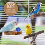8 PCS Natural Wood Bird Perches Stand - Image 3