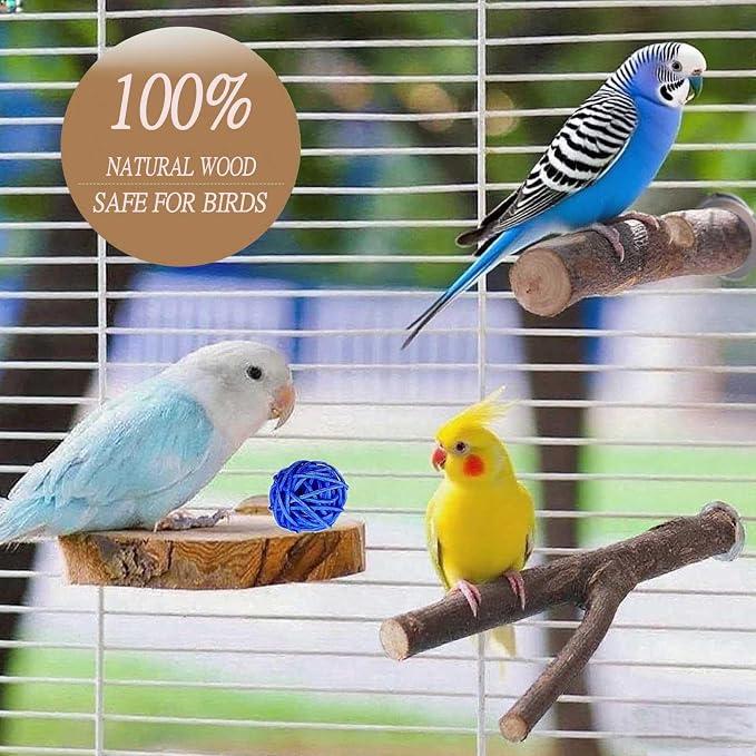 8 PCS Natural Wood Bird Perches Stand - Image 3