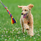Flirt Pole for Dogs-Interactive Lures Durability Rope, Chase and Tug of war - Image 3