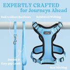 rabbitgoo Cat Harness and Leash - Image 7