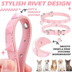 EXPAWLORER Halloween Leather Cat Collar - Image 4