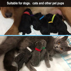FEBSNOW 20Pcs Puppy Whelping Collars 9 inch Newborn Pet Collars Double-Sided - Image 6