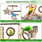 KATUMO Bird Playground - Image 4