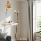 Weysat 3 Pcs Cat Wall Hammock Mounted Shelves - Image 6