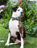 Lionheart glory Dog Collar Darkblue Flower Dog Bow Collars Floral Dog Collar - Image 6