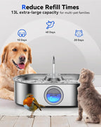 3.4Gal Dog Water Fountain for Large Dogs, 13L Stainless Steel Large Pet Fountain - Image 2