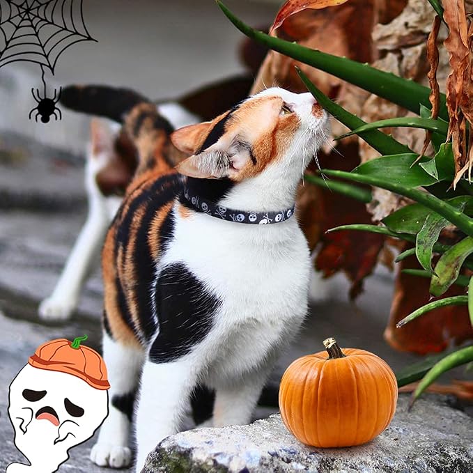 PUPTECK Breakaway Cat Collar - Image 9