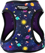 Downtown Pet Supply Step-in Dog Harness – No Pull, Adjustable Padded Mesh by DowntownPetSupply
