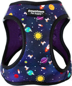 Downtown Pet Supply Step-in Dog Harness – No Pull, Adjustable Padded Mesh by DowntownPetSupply