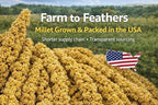 1lb Millet Tips & Tails for Birds - Image 6