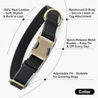 Plutus Pet Genuine Leather Dog Collar – Adjustable Pet Collar - Image 2